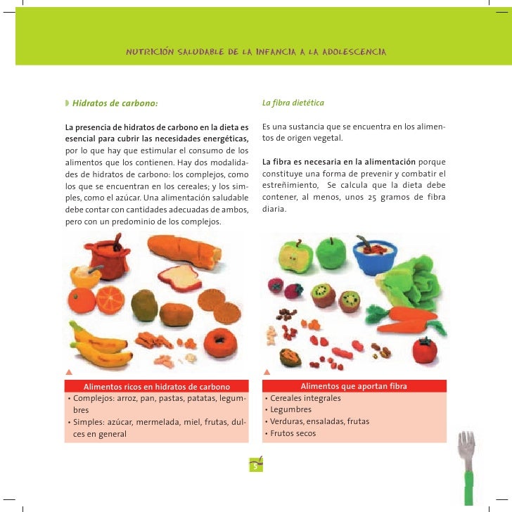 alimentacion saludable que es pdf