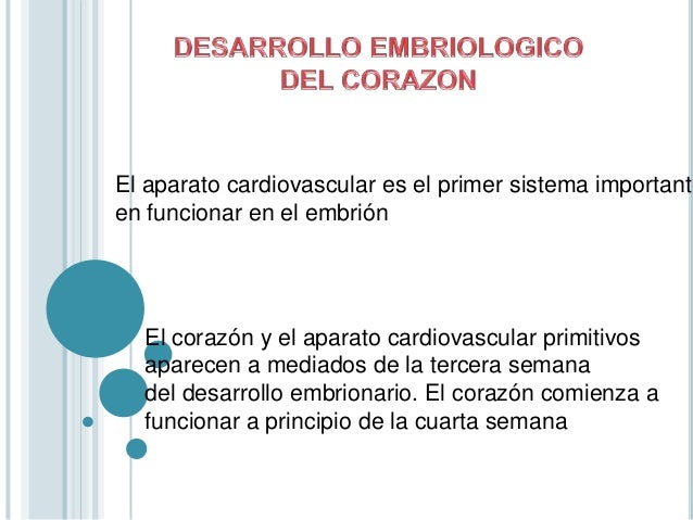 desarrollo embrionario del sistema cardiovascular pdf