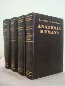 anatomia humana testut pdf descargar