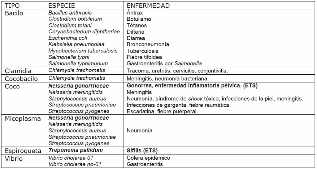 clasificacion de antibioticos por familias pdf