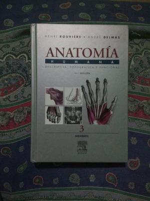 anatomia humana rouviere 11 edicion pdf