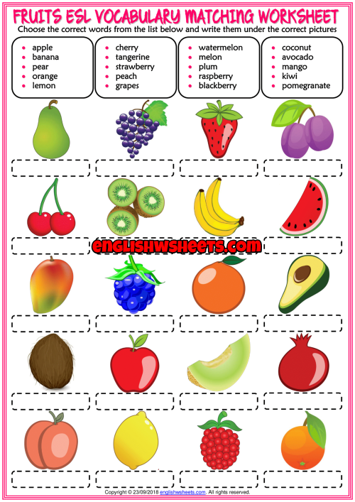 a an fruit exercises pdf