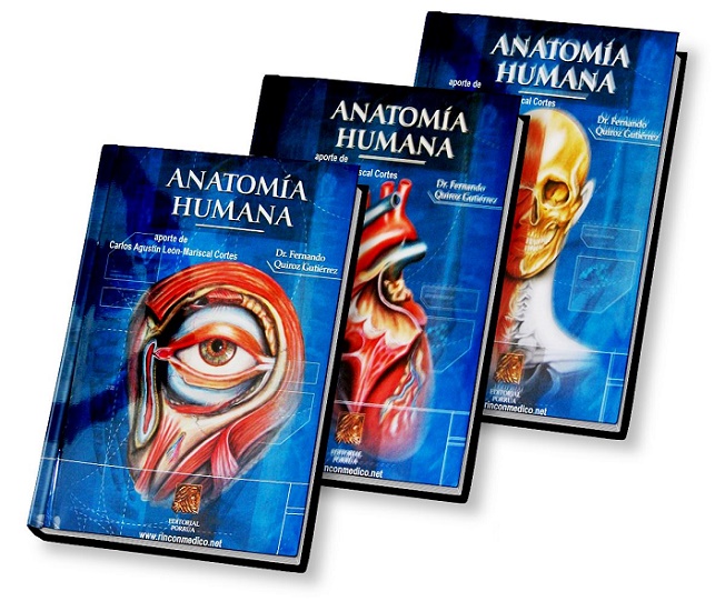 anatomia humana latarjet pdf tomo 1