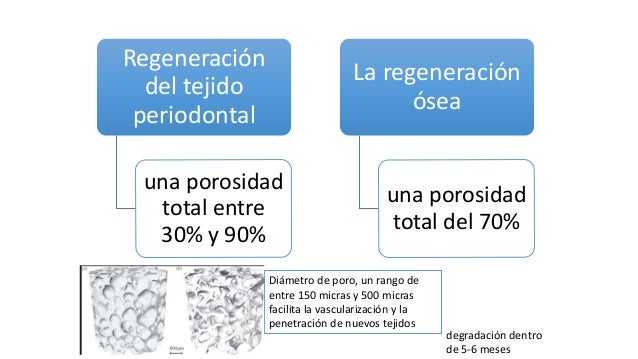 biomateriales en regeneracion osea pdf