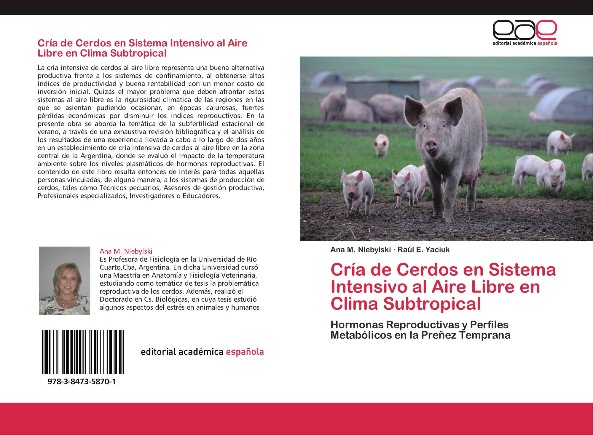 cerdos al aire libre pdf