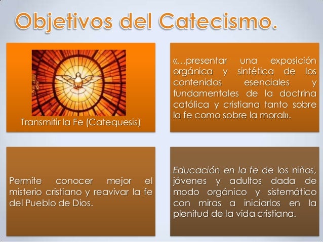 conocer los fundamentos de la iglesia catolica pdf