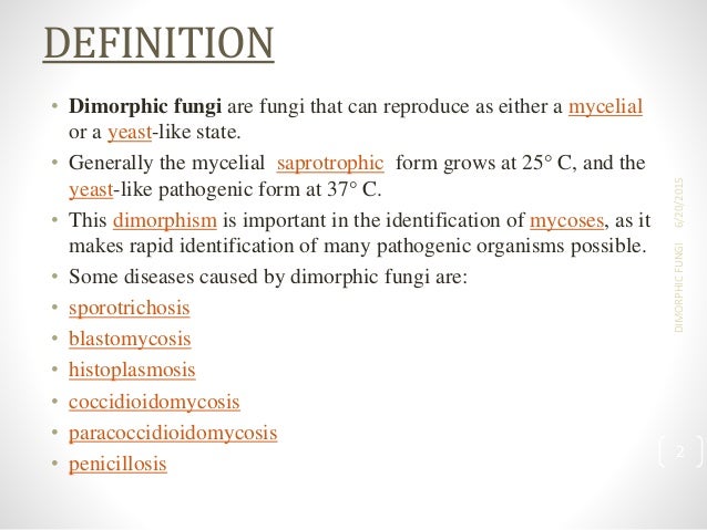 definition osmoprotectant on yeast pdf